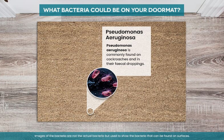Infographic of a beige doormat on a light wooden floor, explaining that bacteria such as Pseudomonas Aeruginosa is present on doormats.