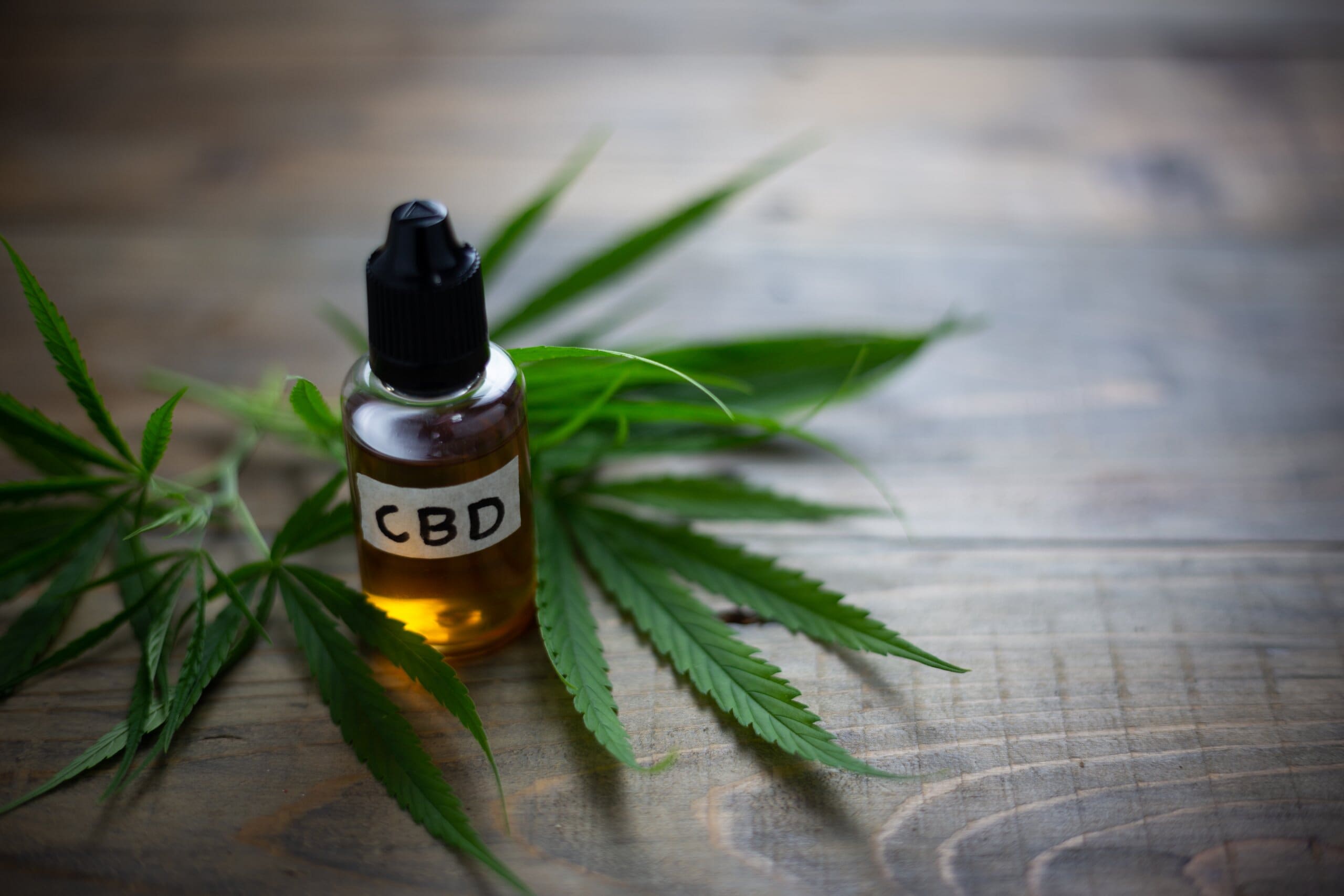 Image of cannabis leaves next to a small glass bottle labelled 'CBD'.
