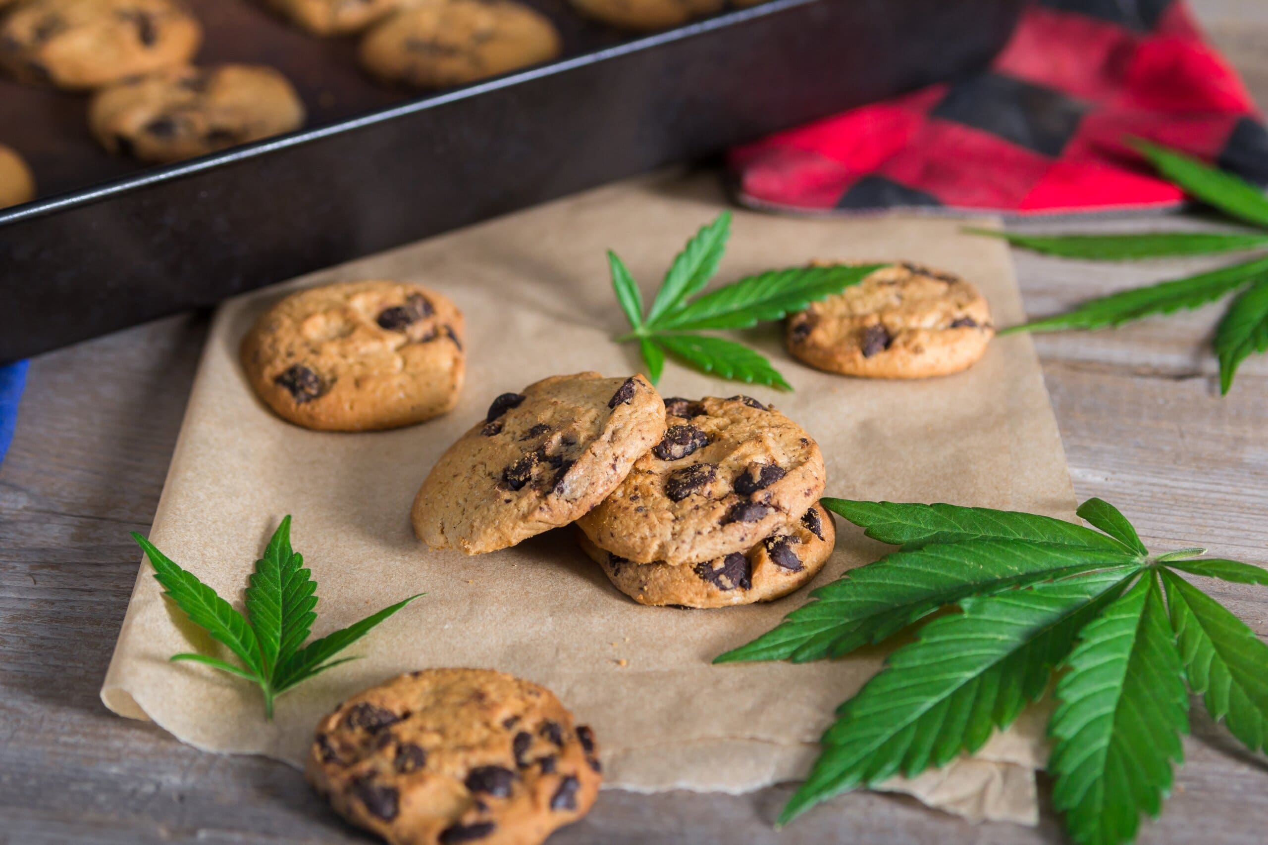 Freshly baked cannabis butter cookies with hemp leaves scattered across.