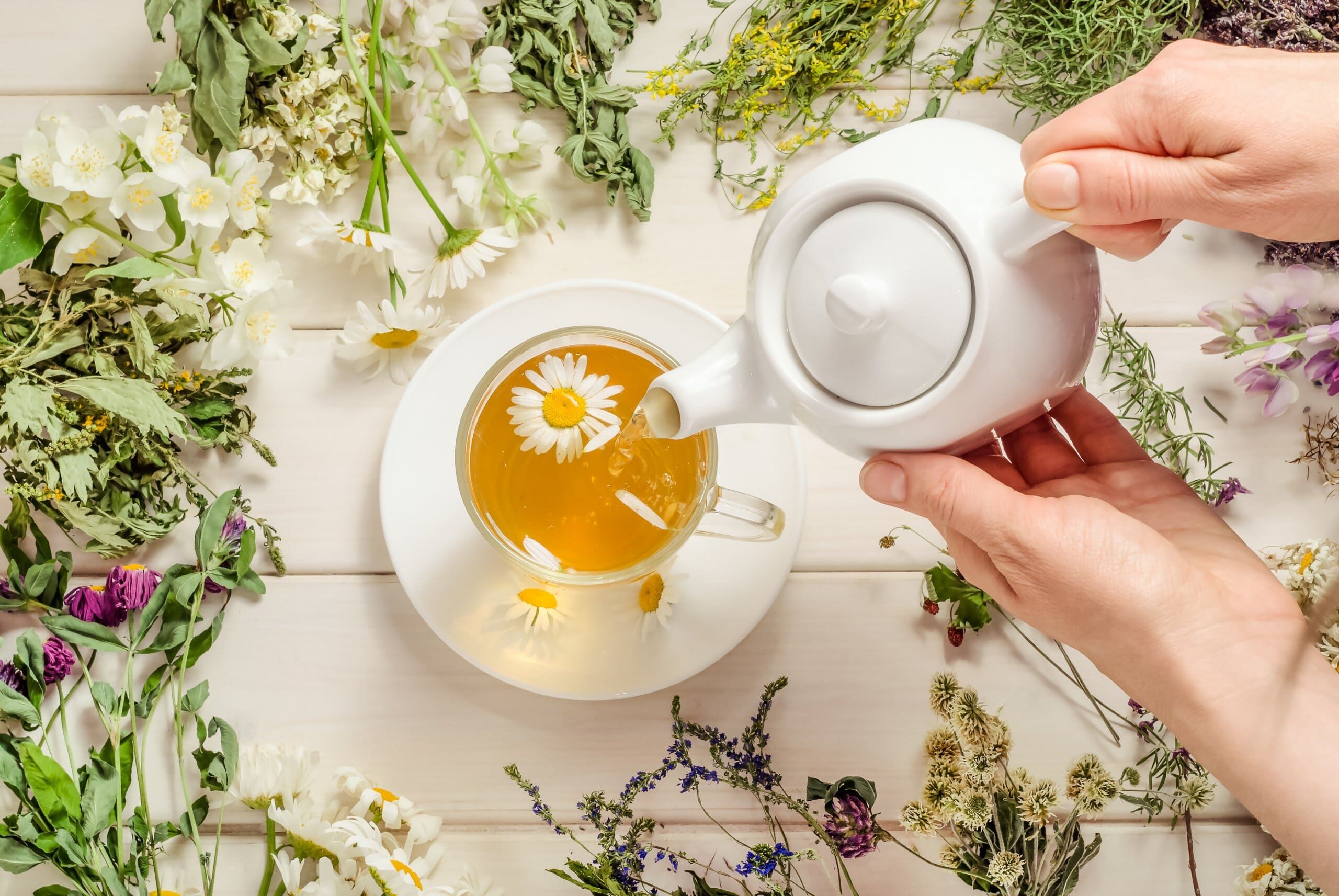 Woman's hands pouring a cup of chamomile tea from a teapot. Mug is surrounded by an array of fresh and dried flowers.