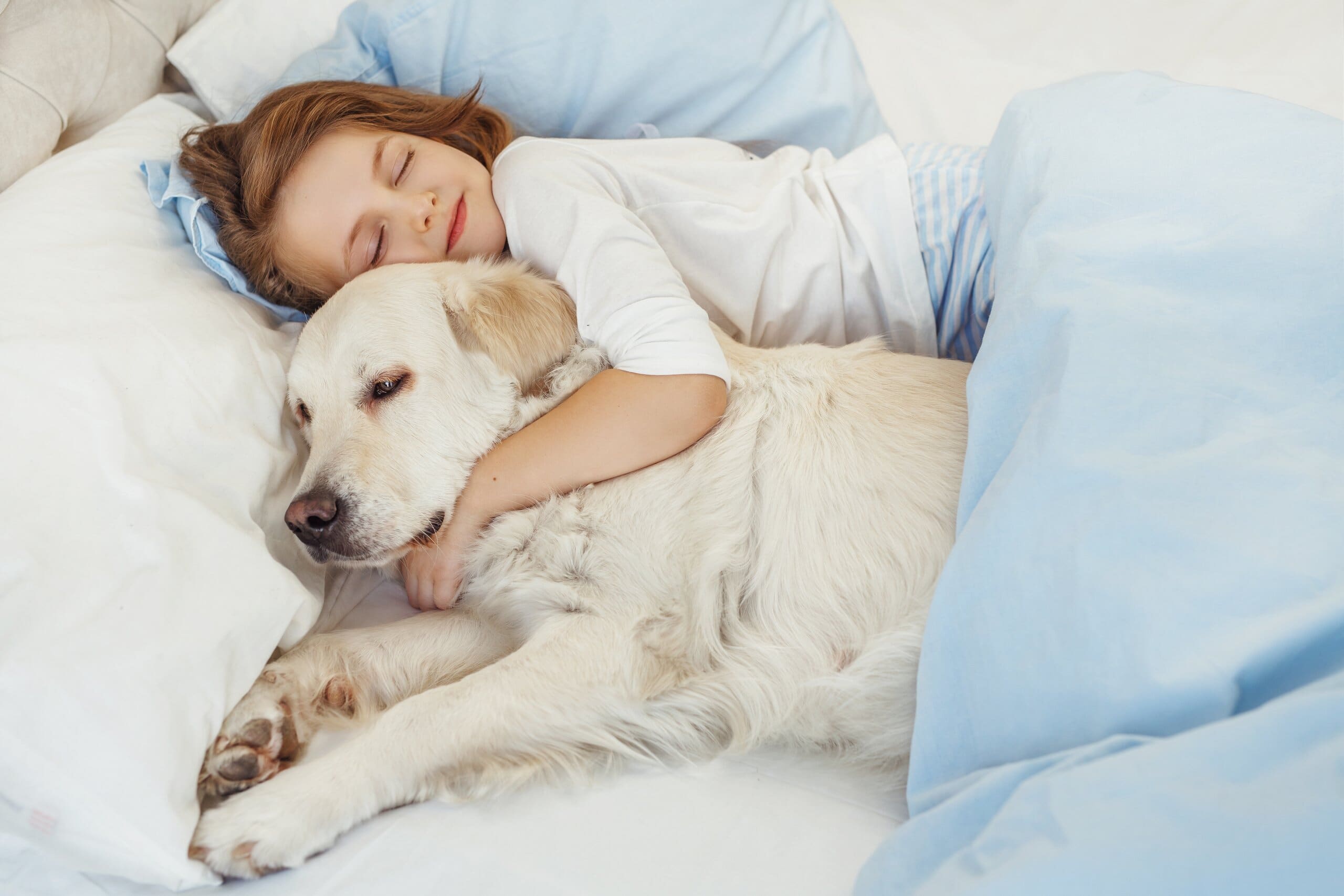 Child smiling with eyes closed cuddling a golden retriever in bed.