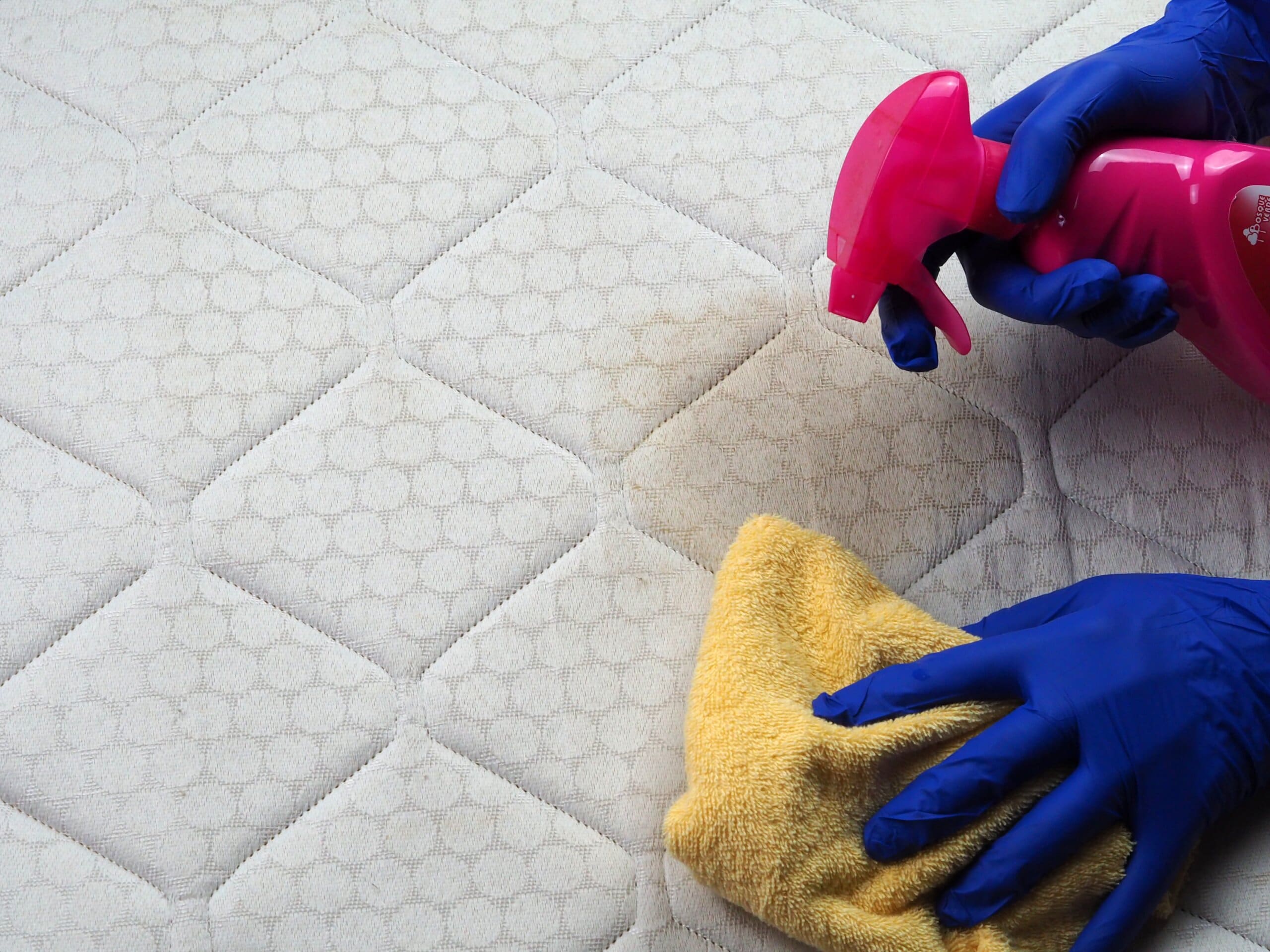 Close up of gloved hands holding a spray bottle and cloth, cleaning urine from the surface of a mattress.