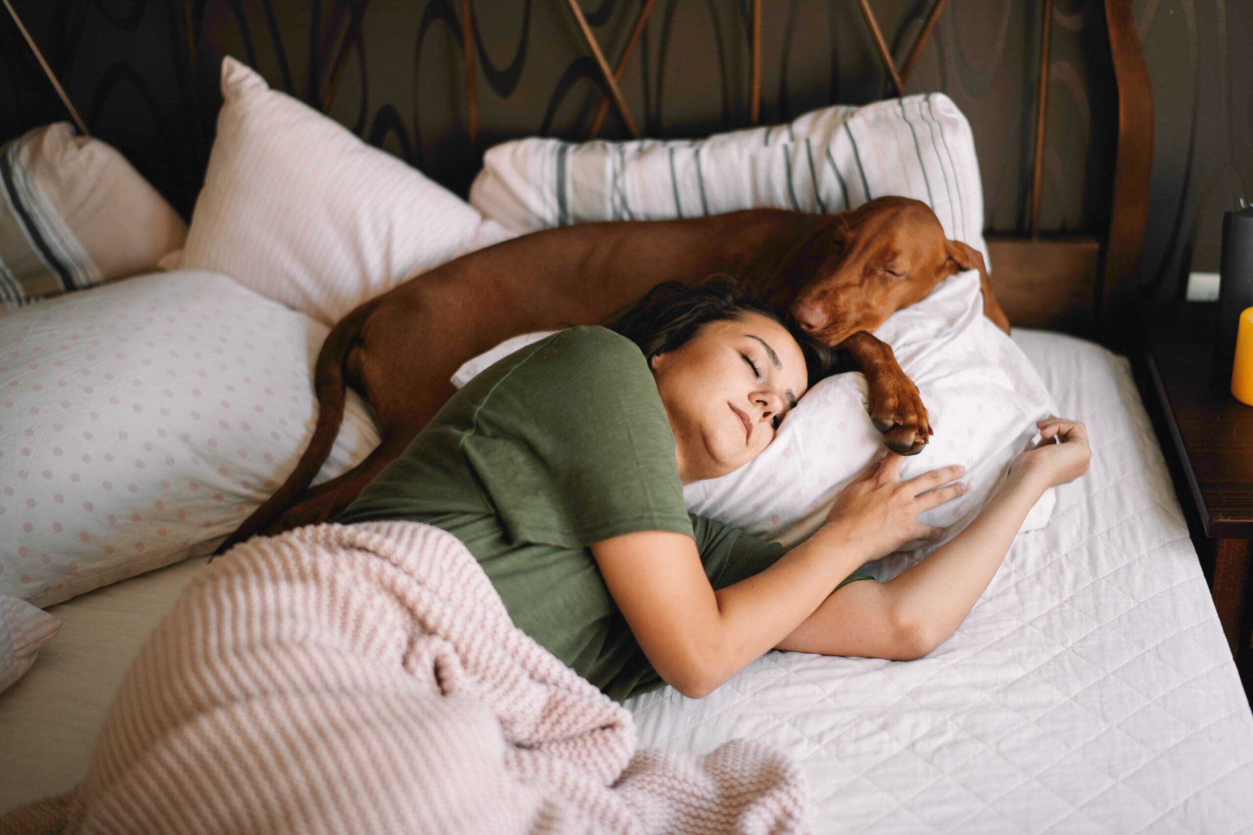 Woman cosy in bed with dog, blanket over her.
