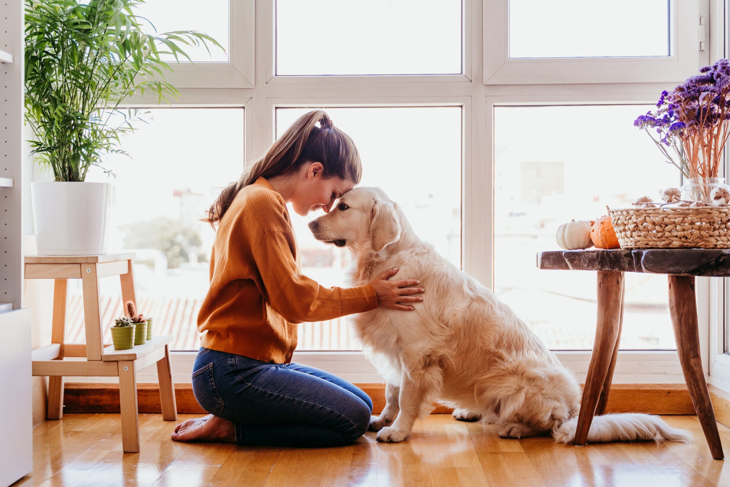 How To Make A Pet-friendly Home