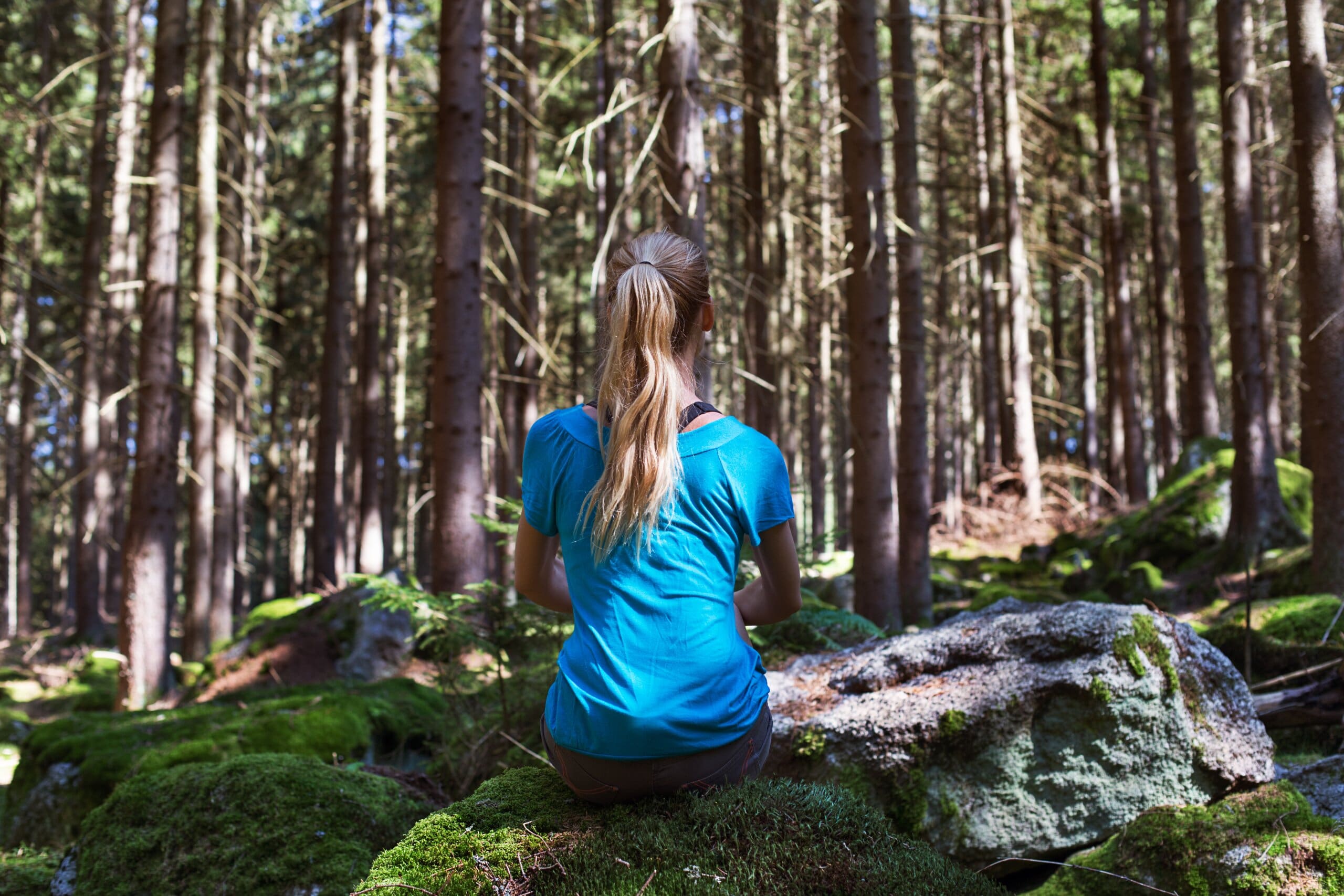 Discover the Powerful Forest Bathing Benefits - Rejuvenate Your Mind and Body Naturally