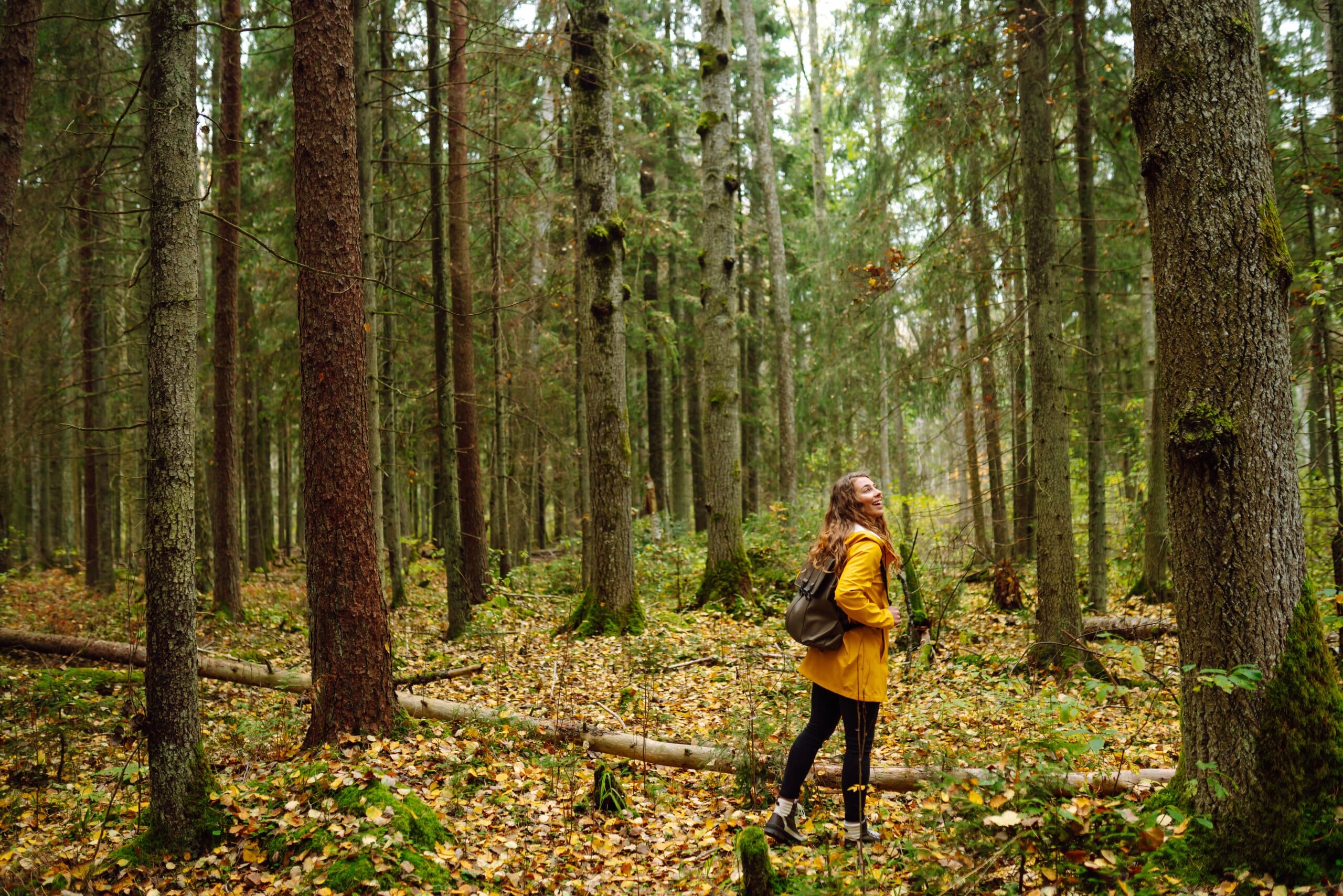 Woman walking through a forest, smiling at the trees.