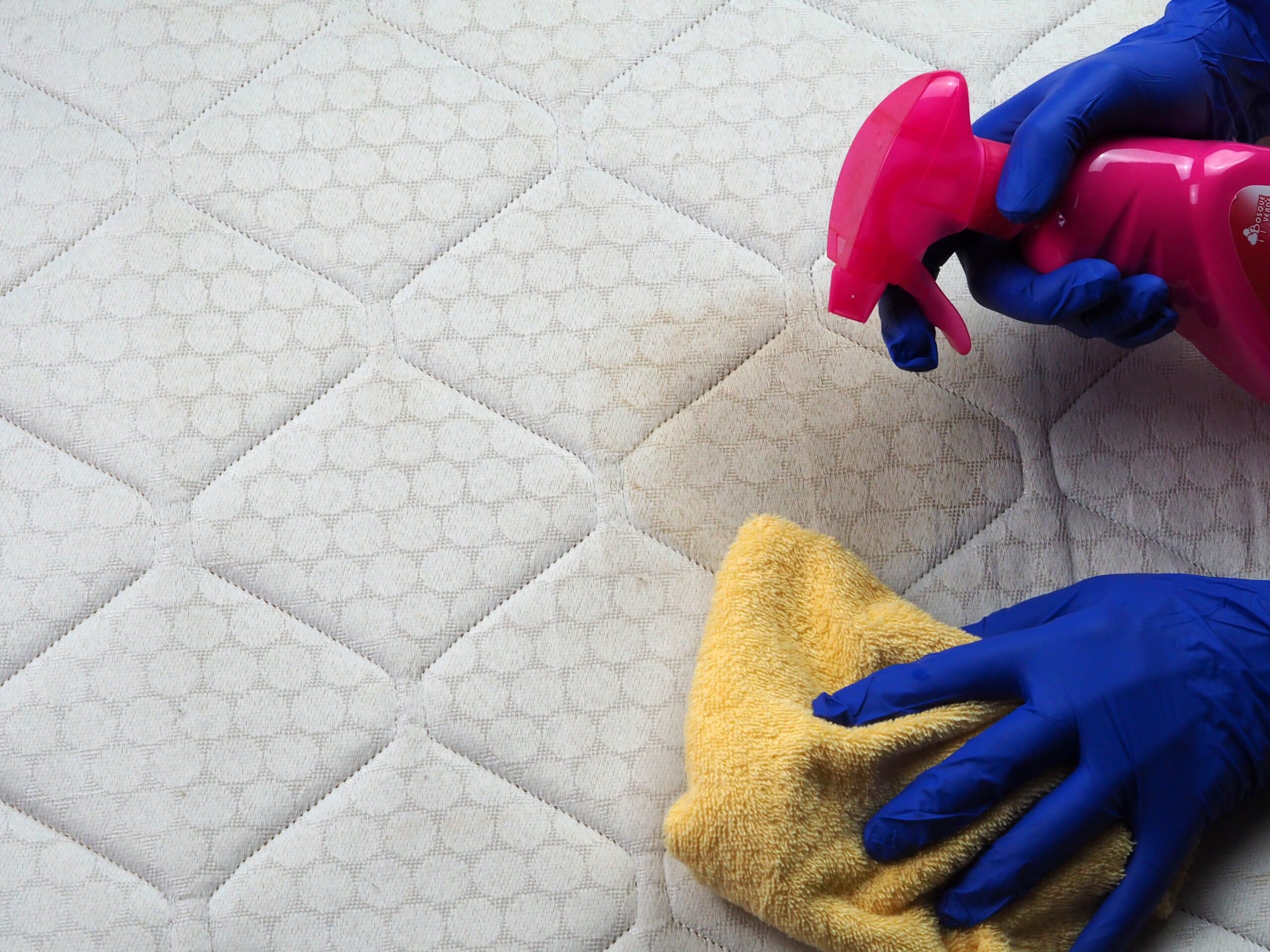 Gloved hands holding a cloth and spray bottle over a stain on a mattress.