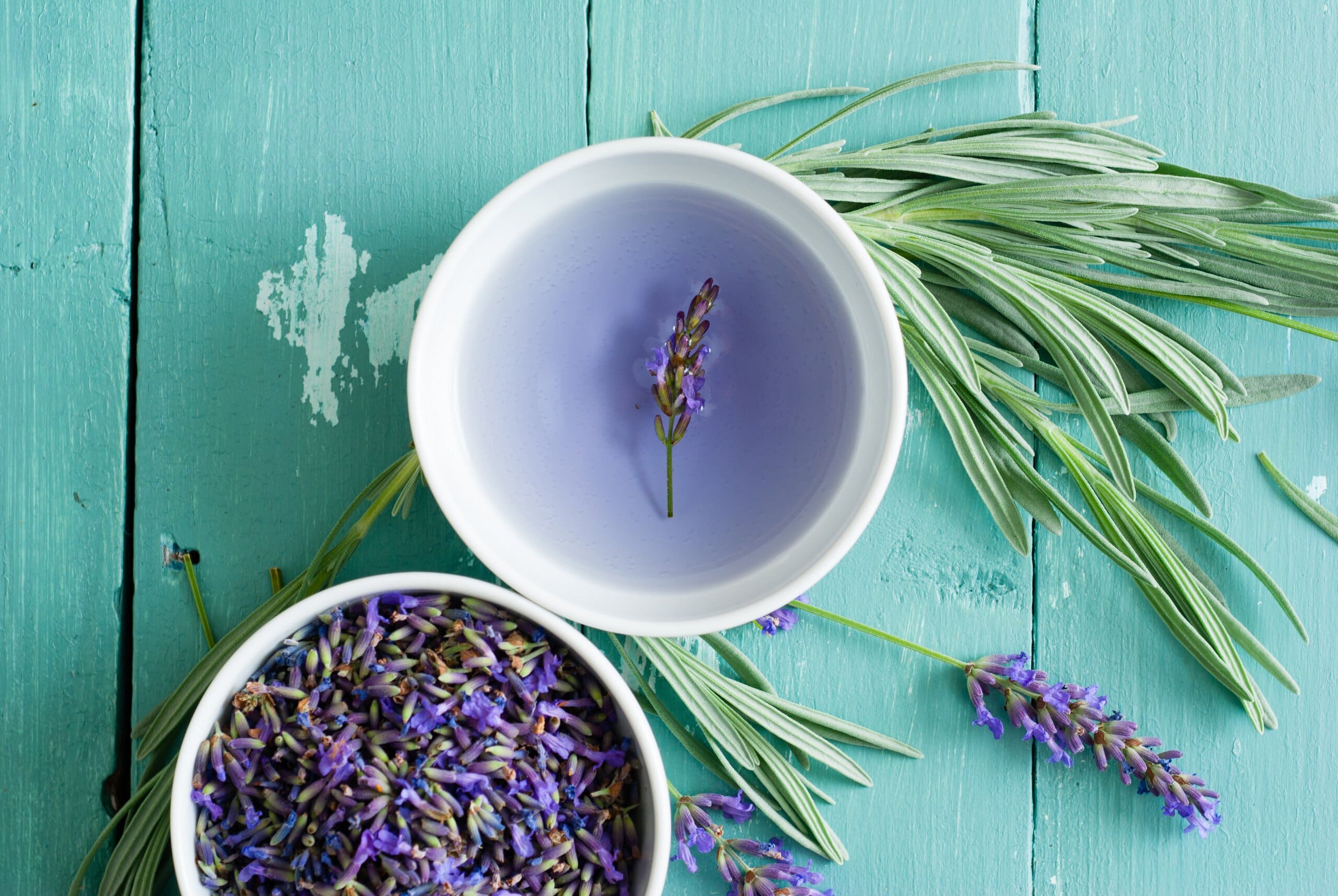 Cup of lavender tea with sprigs of lavender surrounding it, on a light blue wooden table.