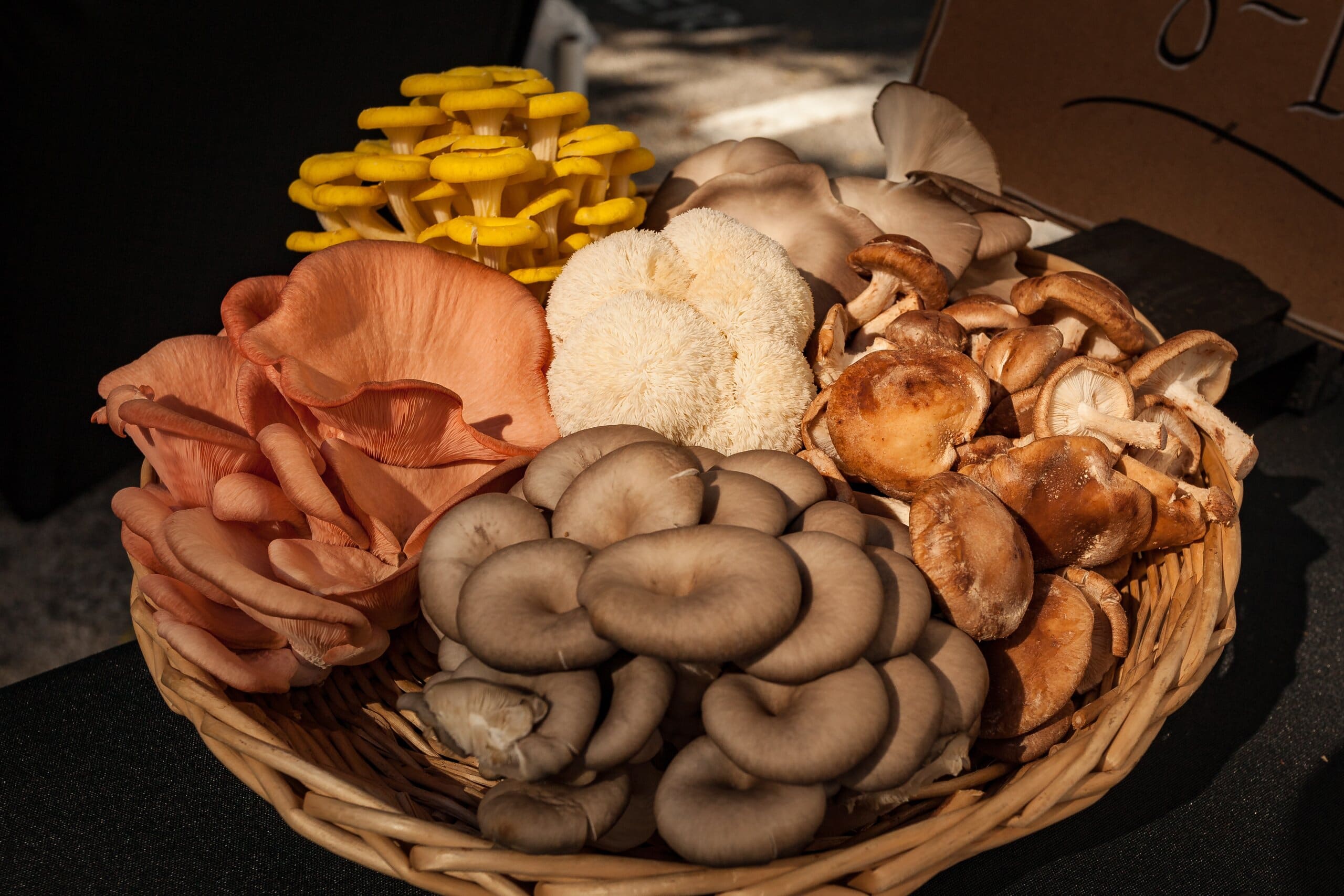 A basket with an assortment of mushrooms, including lion's mane mushrooms.