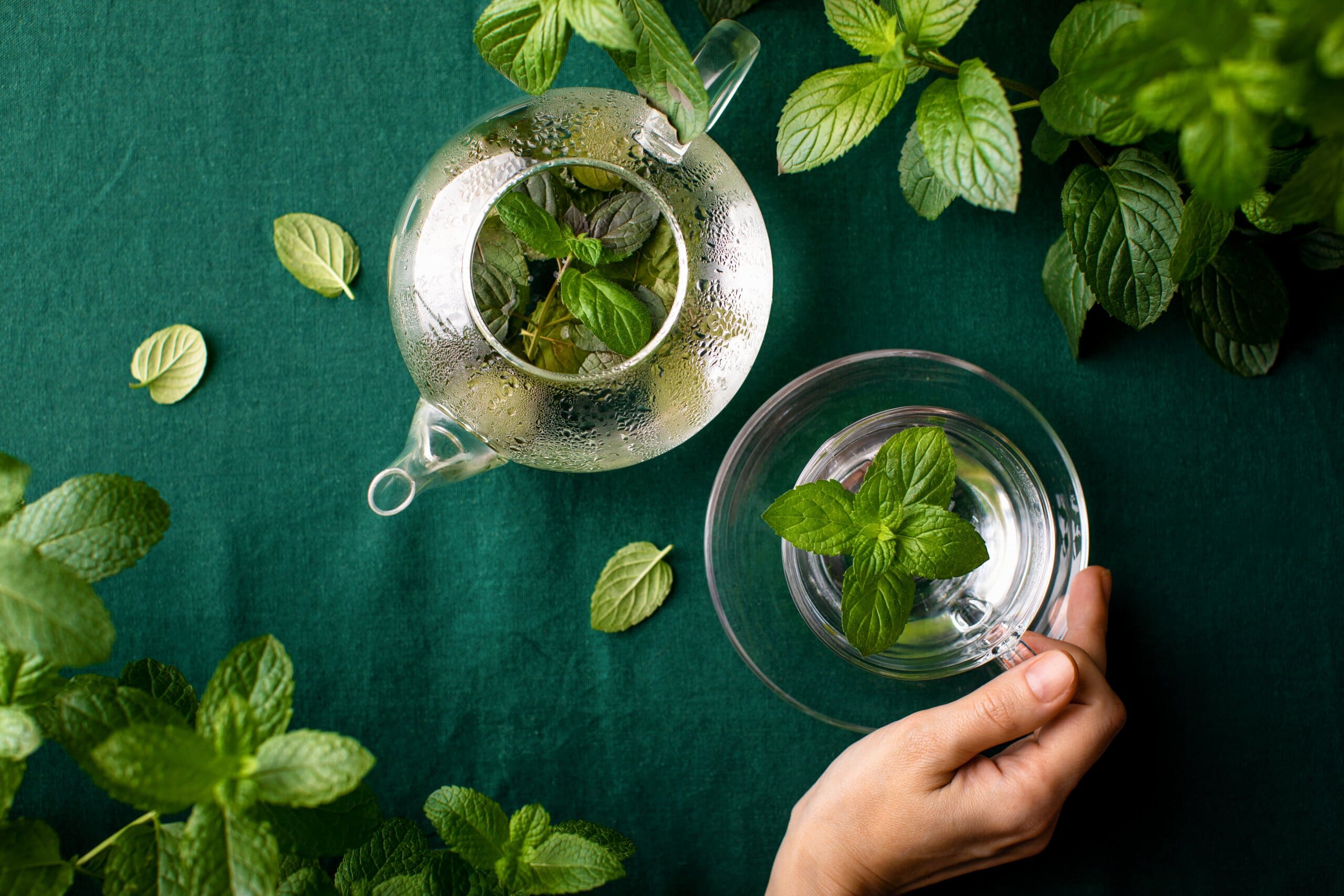 Overhead image of a mug and teapot of peppermint tea, surrounded by peppermint leaves.