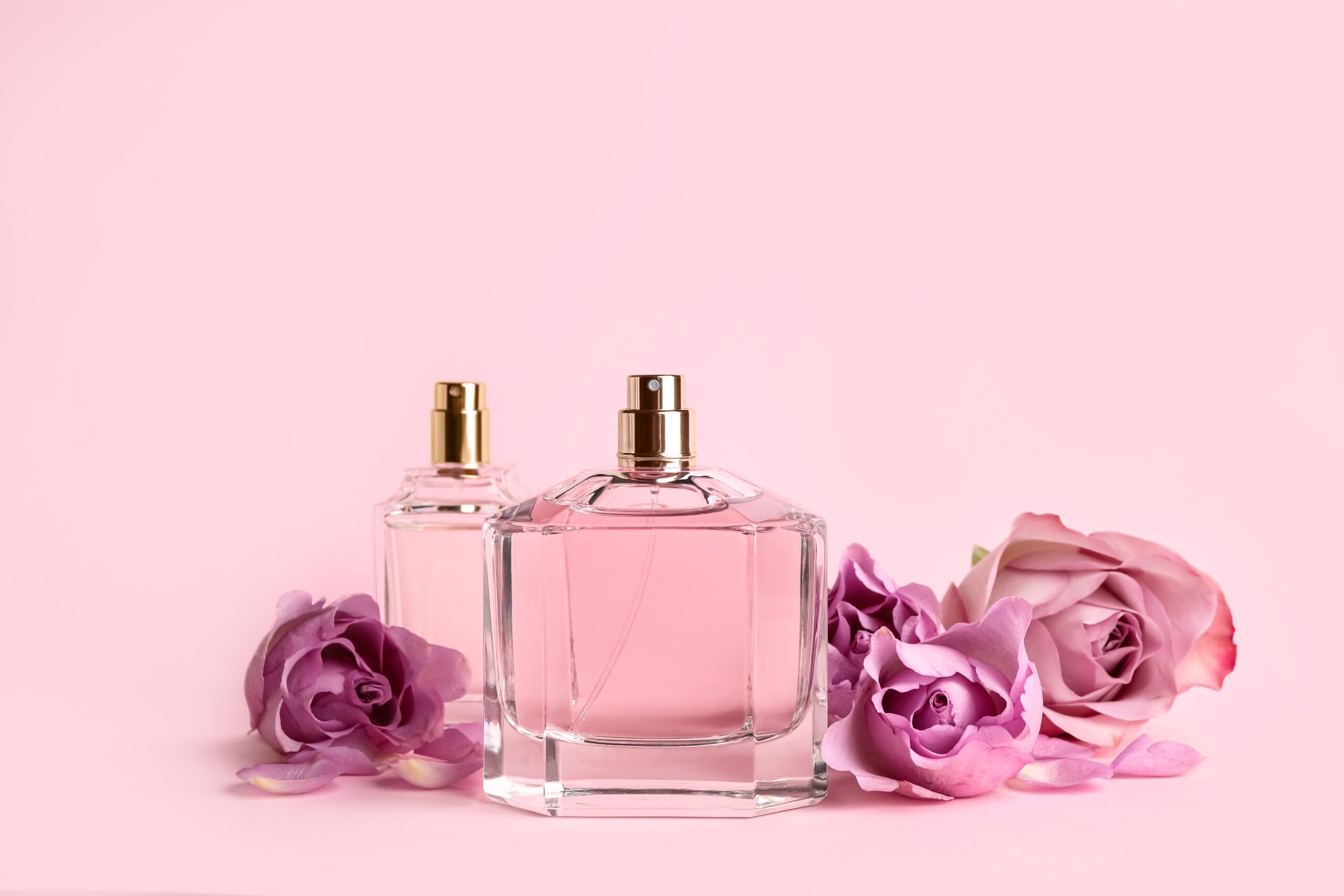 Bottles of perfume and beautiful roses on pink background.