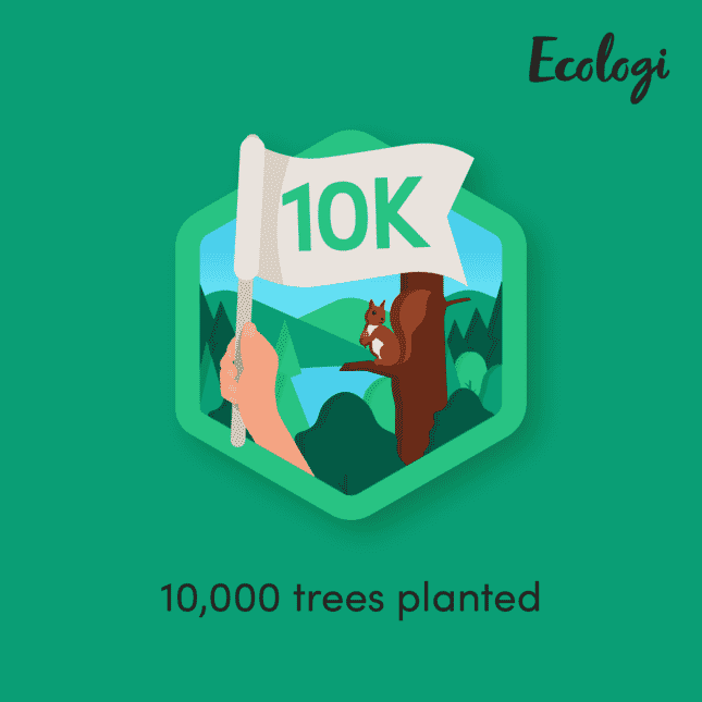 MattressNextDay plants 10,000 trees across the planet