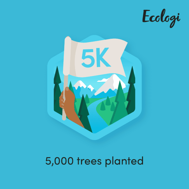 MattressNextDay Reaches the 5,000 Milestone for Trees Planted!