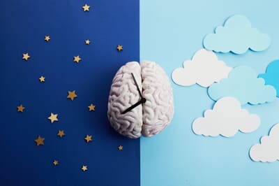 Everything You Need To Know About Sleep Cycles