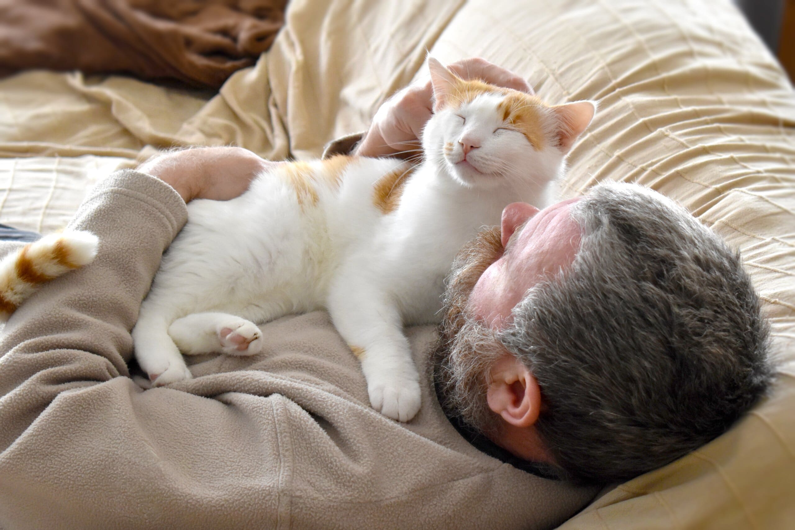 Cat sleeping in bed with owner on man's chest.