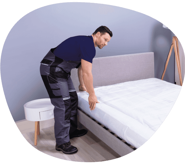 Single bed deals next day delivery