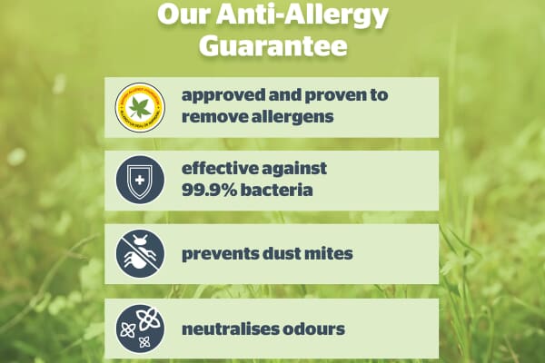 An image for Silentnight Anti Allergy Pillow Twin Pack