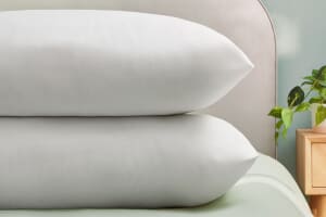 A product image for the Silentnight Anti Allergy Pillow Twin Pack