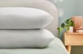 Silentnight Anti Allergy Pillow Twin Pack