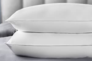 A product image for the Silentnight Feather and Down Pillow Pair