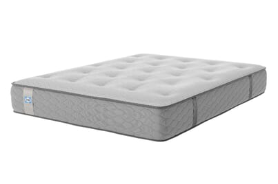 An image for Sealy Ortho Plus Gold Mattress