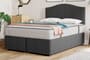 Sealy Ortho Plus Gold Mattress