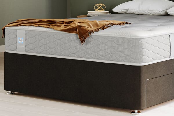 An image for Sealy Ortho Plus Bronze Mattress