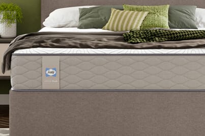 An image for Sealy Ortho Plus Essential Mattress + Premium Divan Bed