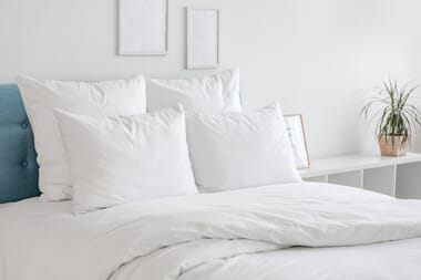 An image for Sarah Jayne Soft & Comfortable Pillow - 2 Pack