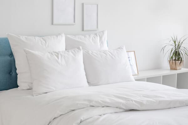 An image for Sarah Jayne Soft & Comfortable Pillow - 2 Pack