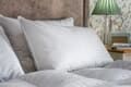 Laura Ashley Duck Feather & Down Pillow