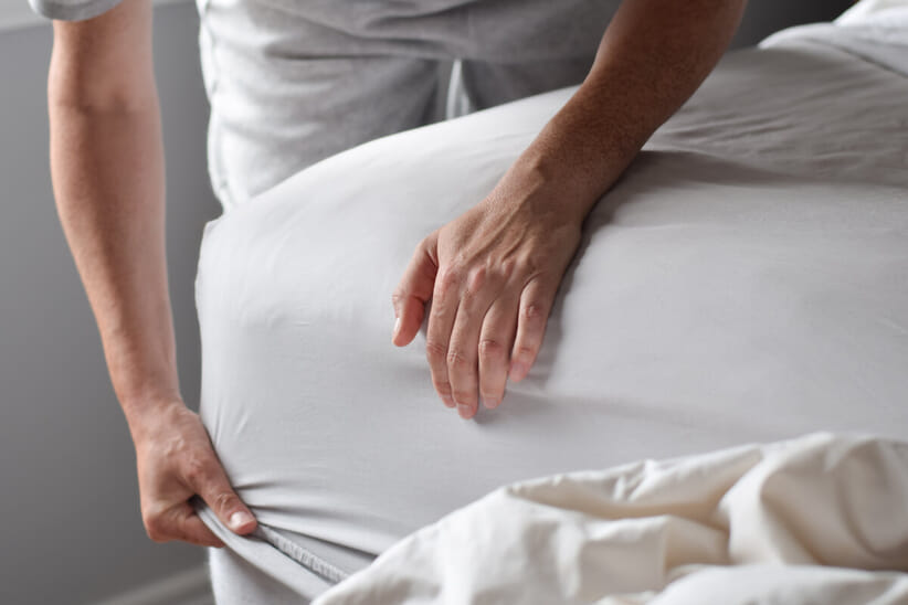 An image for Harwoods European Size Cotton Fitted Sheet - White