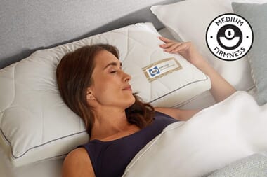 An image for Sealy Airflow Memory Foam Pillow
