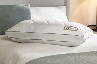 A product image for the Sealy Airflow Memory Foam Pillow