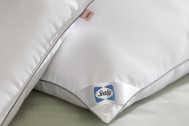 An image for Sealy Anti-Allergy Pillow - 2 Pack