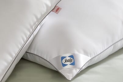 An image for Sealy Anti-Allergy Pillow - 2 Pack