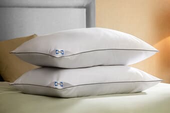 A product image for the Sealy Anti-Allergy Pillow - 2 Pack