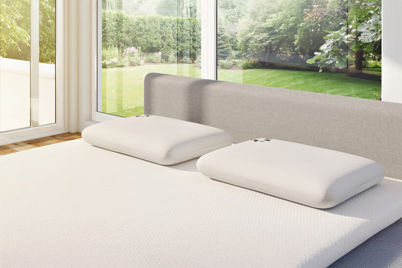 An image for Panda® Bamboo Memory Foam Pillow