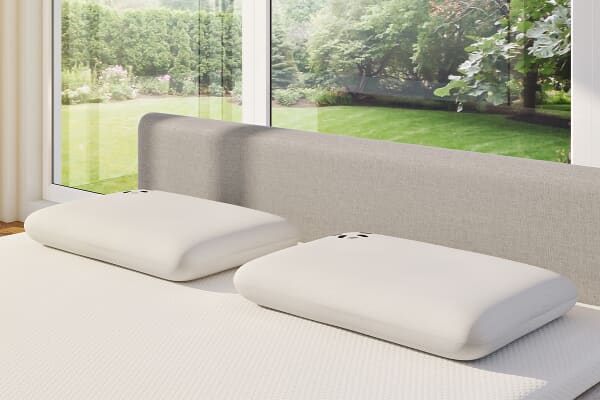 An image for Panda® Bamboo Memory Foam Pillow
