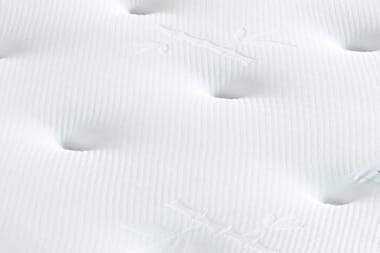 An image for Shire Bed Company Ortho Backcare Mattress