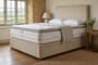 Tuft & Springs™ Serenity 5000 Mattress