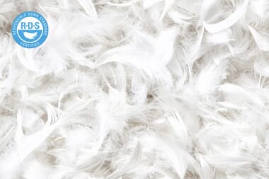 An image for Silentnight Ultimate Luxury Hungarian Goose Feather & Down Pillow