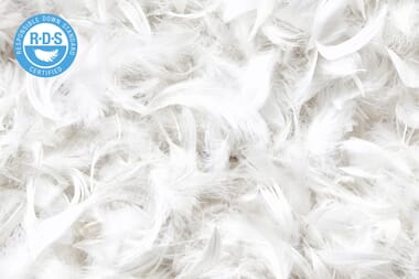 An image for Silentnight Quilted Duck Feather Pillow