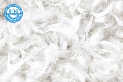 An image for Silentnight Quilted Duck Feather Pillow