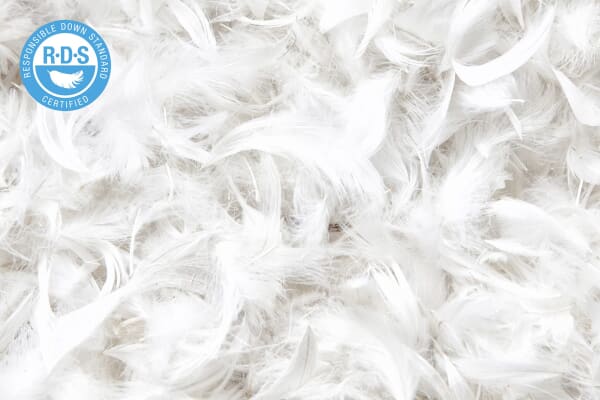 An image for Silentnight Quilted Duck Feather Pillow