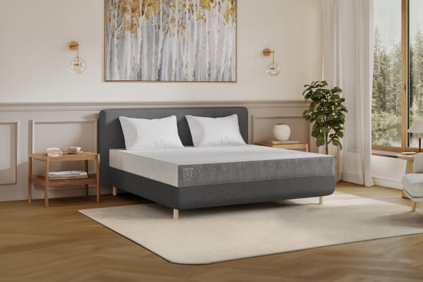 An image for TEMPUR EASE® 20 Mattress