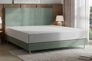 A product image for the TEMPUR EASE® 25 Mattress