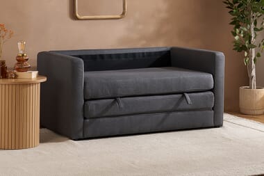 An image for Eli Fold Out Sofa Bed