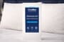 Coolflex® Waterproof Pillow Protector Pair