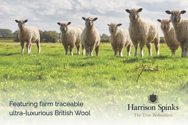 An image for Harrison Spinks British Wool Pillow